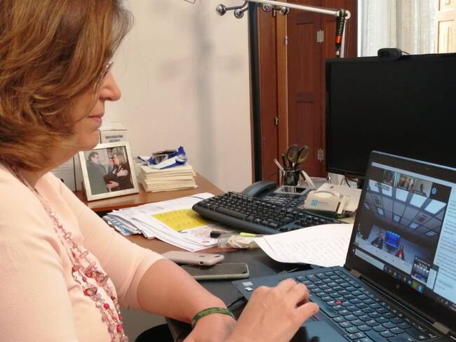 Armisén en la reunión telemática en la que han participado el Rey y la ministra
