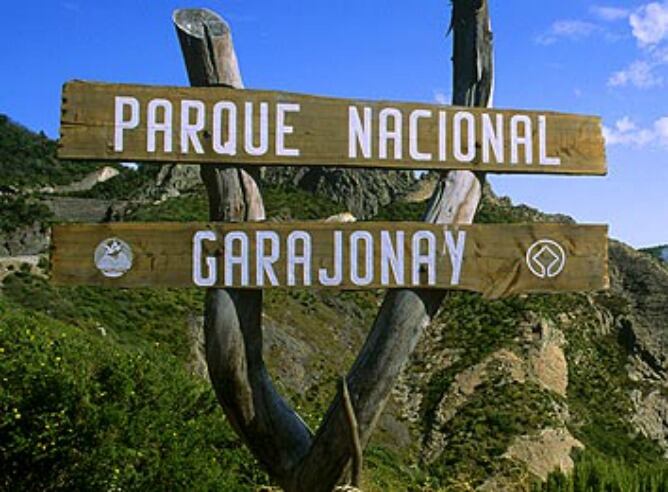 Parque Nacional de Garajonay, en La Gomera