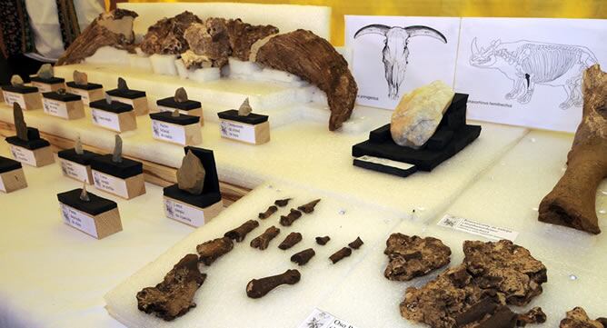 Los restos humanos del que sería el primer menor neandertal descubierto en la Comunidad de Madrid
