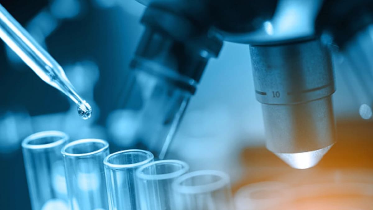 Investigación científica a base de nóminas precarias