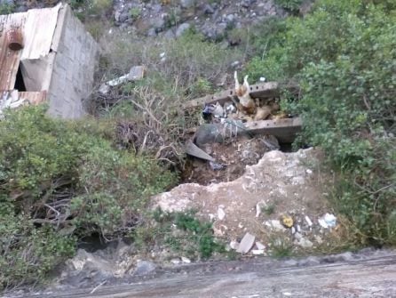 Perros muertos en el barranco tras el lugar en el que realizaban las peleas. Imágenes cedidas por ADEPAC a la Cadena SER