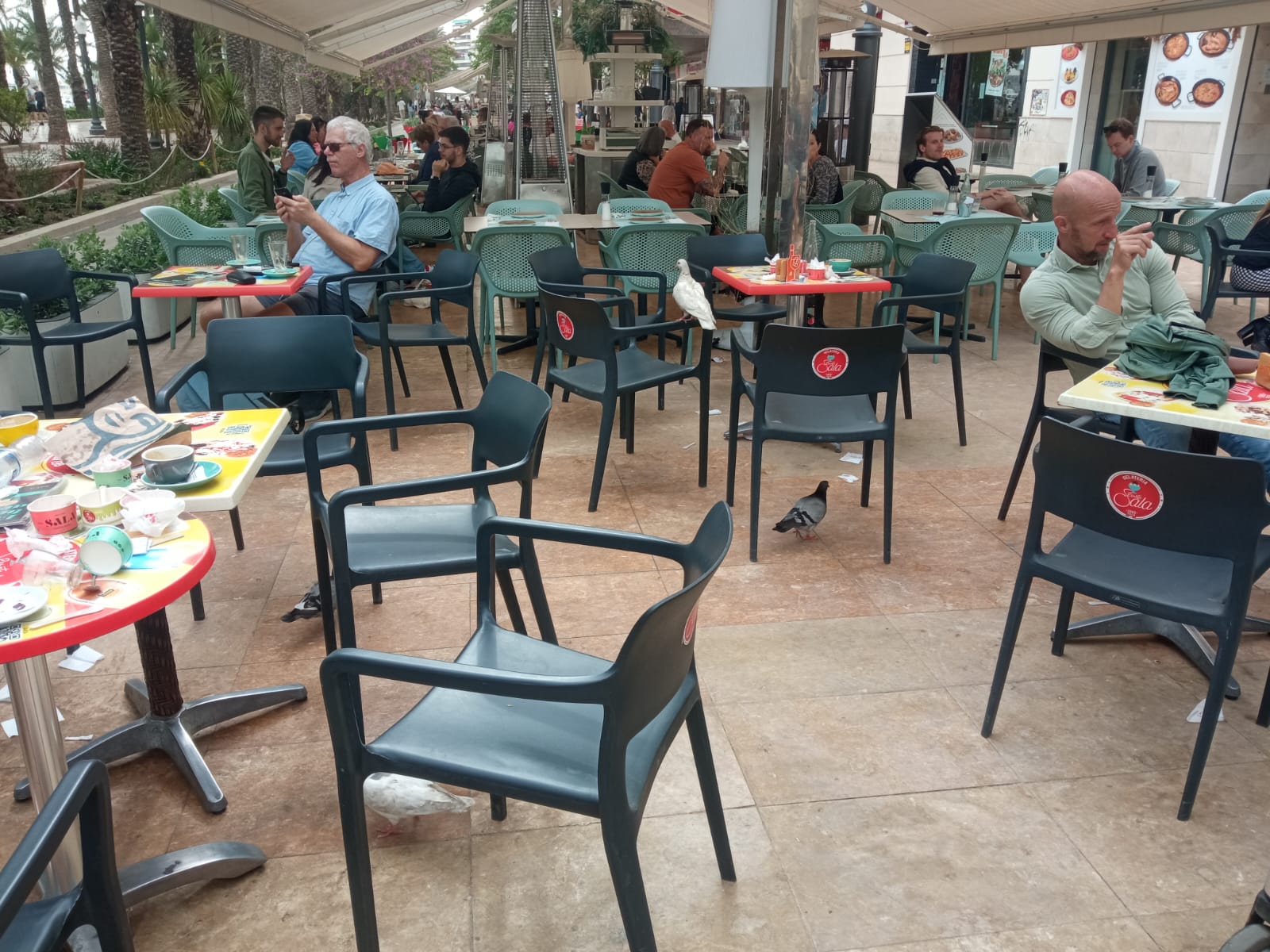 Palomas en los restaurantes de la Explanada