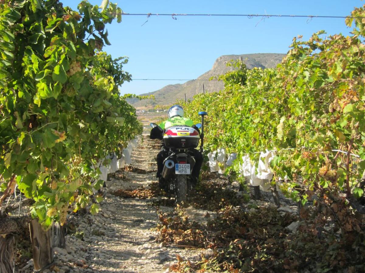 La Policía Local de Novelda efectúa detenciones en entornos rurales