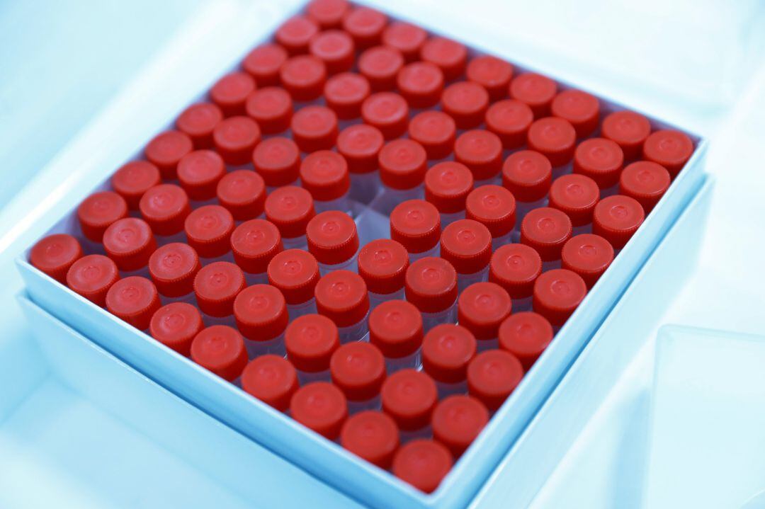 Test PCR preparados en un laboratorio. 