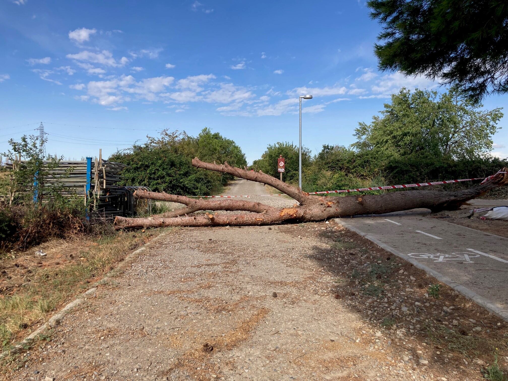 Todavía queda un árbol sin recoger en la zona de la vía verde