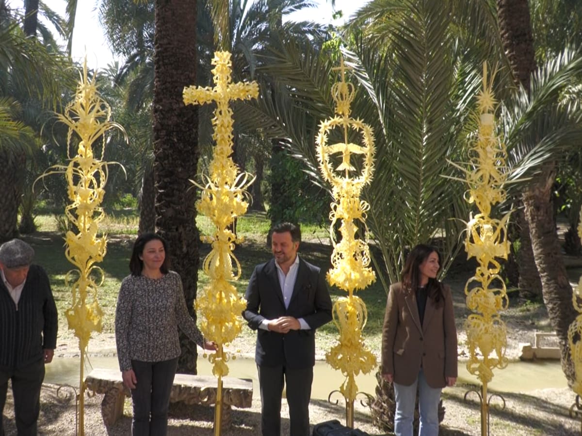 Elche envía un año más las palmas blancas del Domingo de Ramos al Papa, los Reyes y otras autoridades