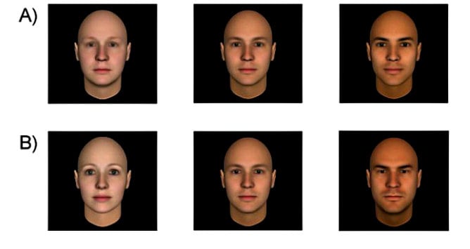 Tipos de rostro a partir de los cuales se juzga a las personas