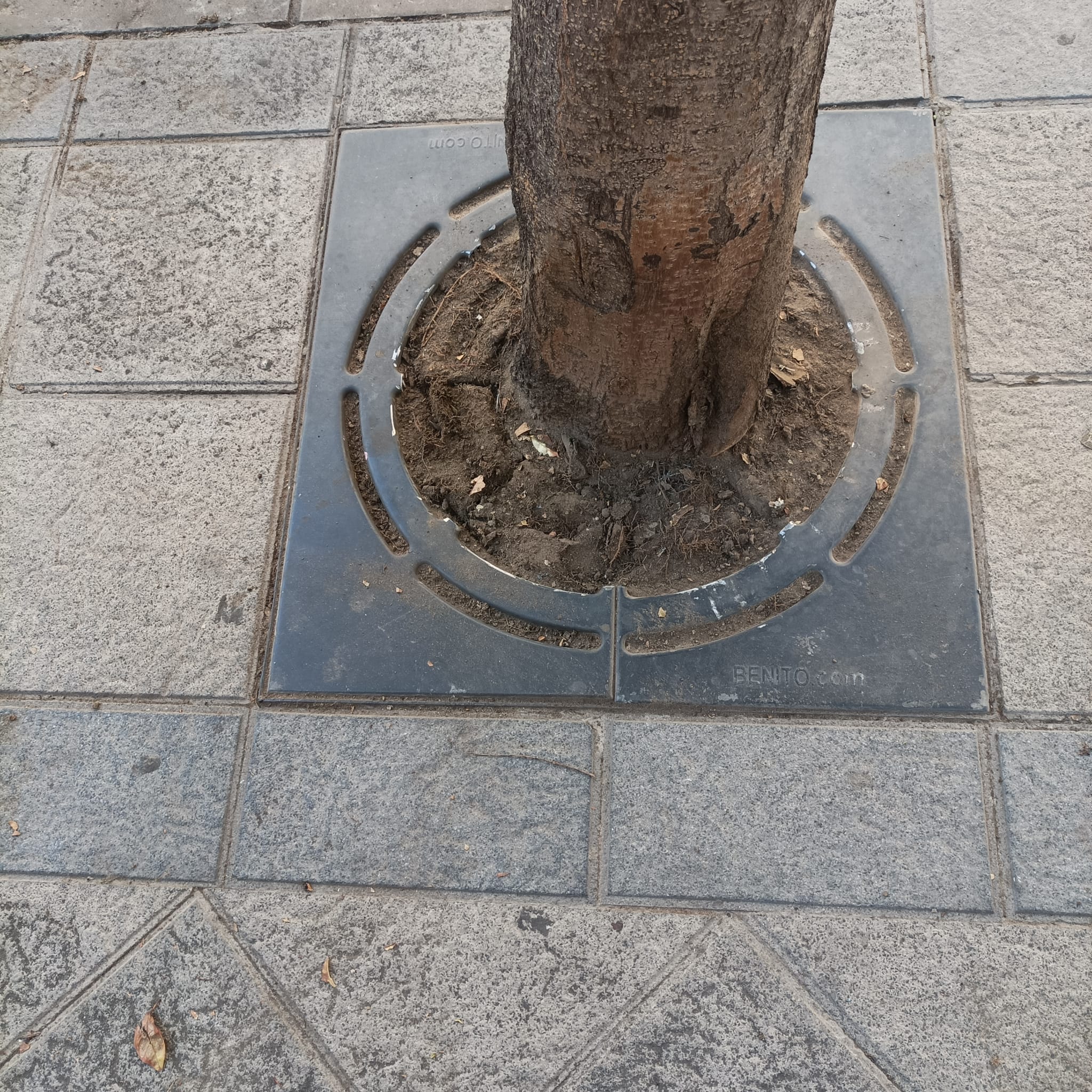 Uno de los cubre alcorques