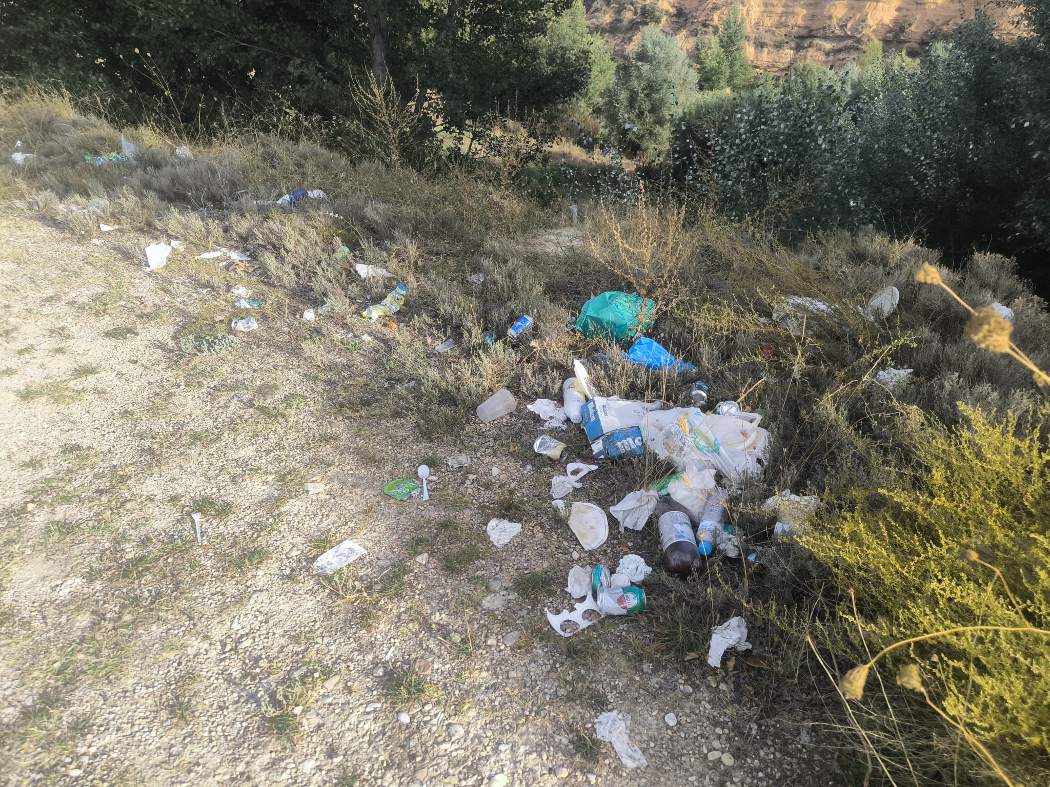 Restos de basura en el paraje de la Sartenilla en la cola del embalse de Buendía, en el río guadiela.