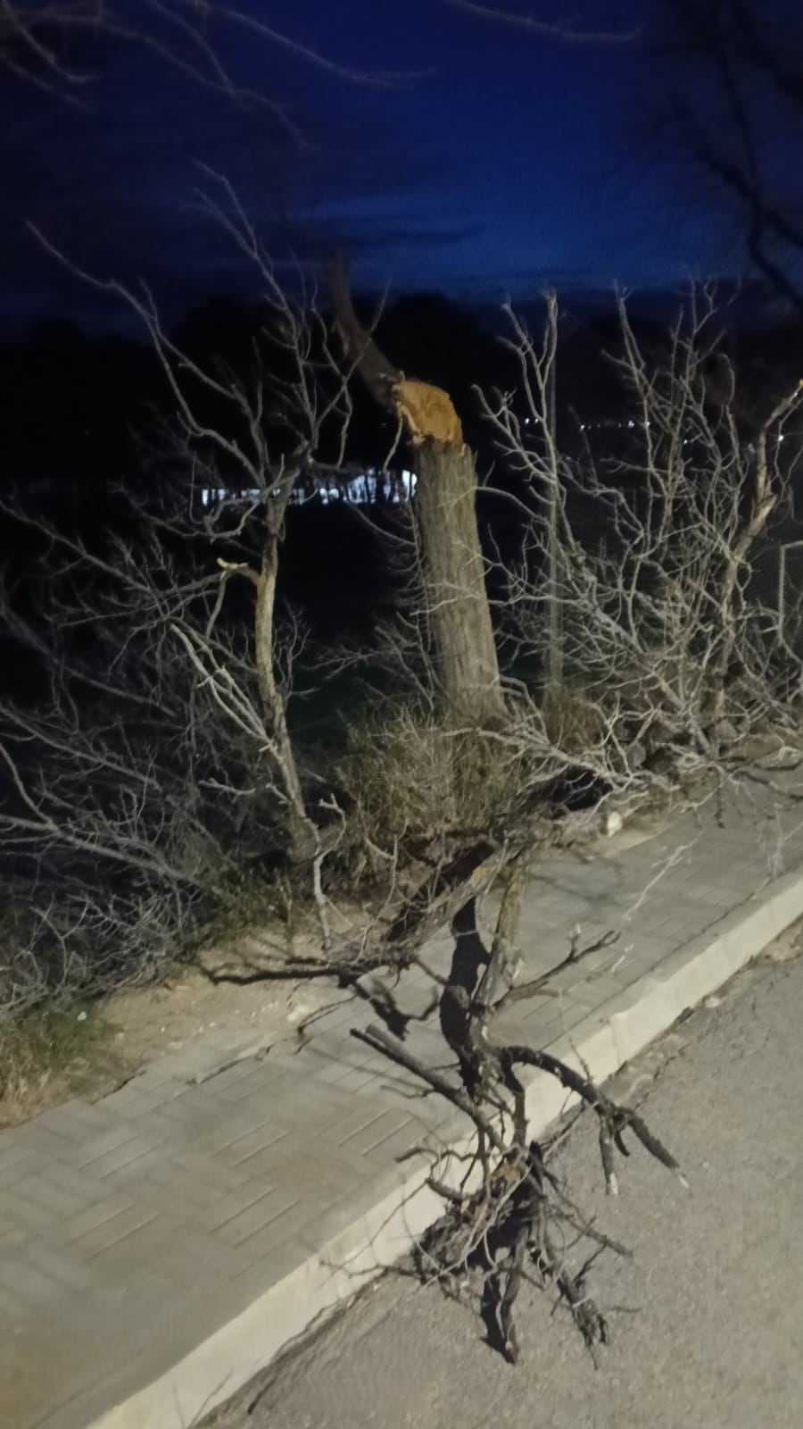 Daños por el viento