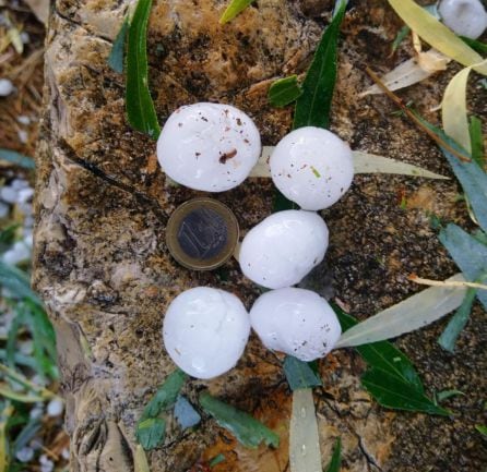 Tamaño de los granizos que cayeron en Salvacañete.