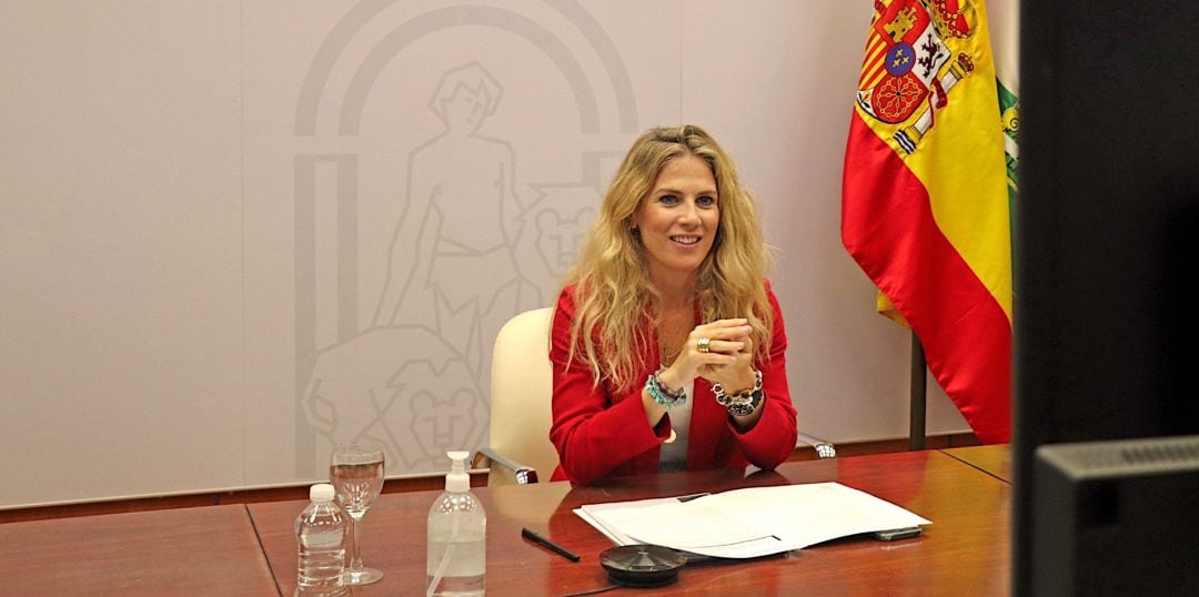 Ana Mestre, delegada territorial de la Junta en Cádiz