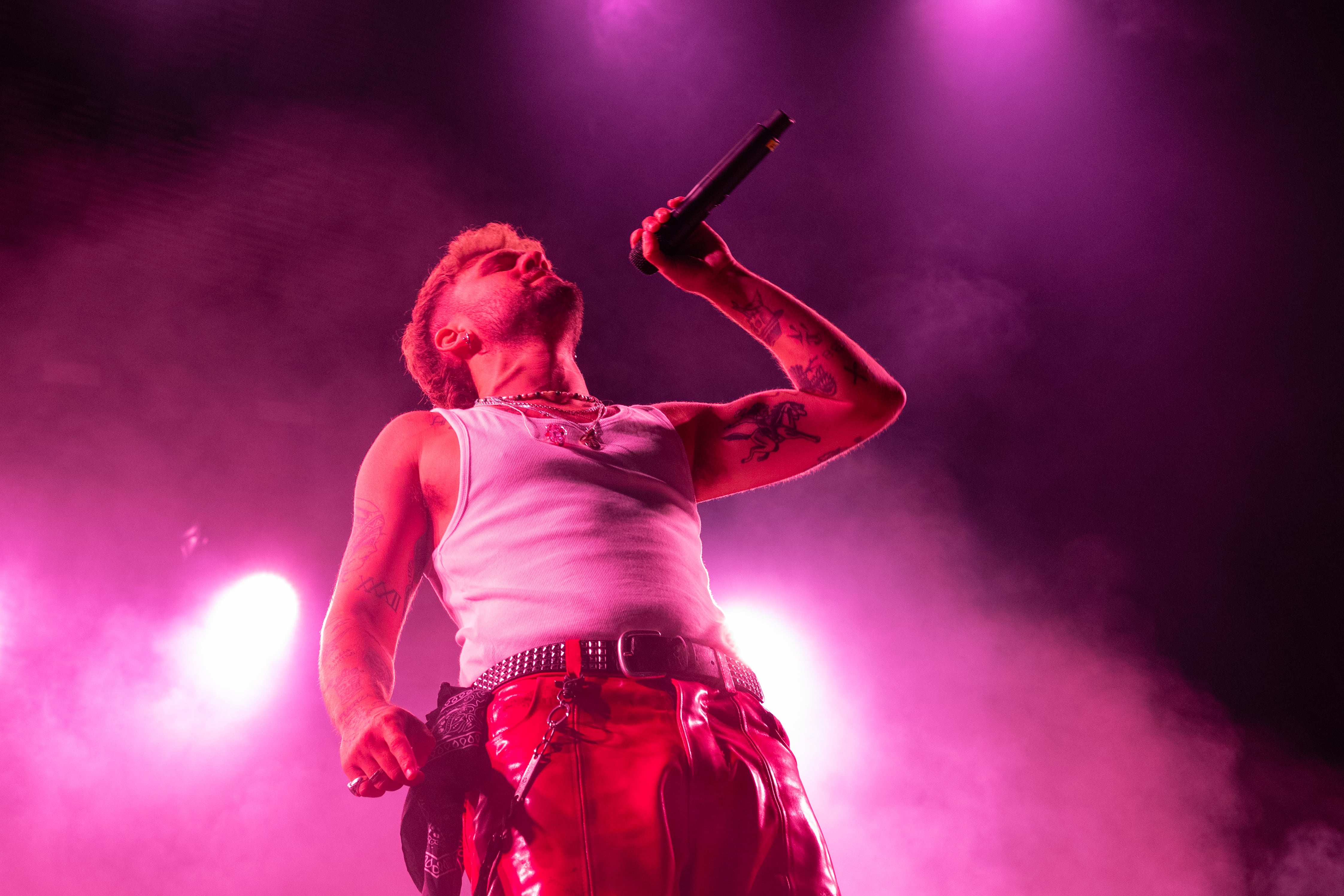 TOLEDO, 10/05/2025.- El músico y cantante Dani Fernández durante su actuación hoy sábado en el Toledo Beat Festival que se celebra en Recinto Ferial de la Peraleda, en Toledo. EFE/Ángeles Visdómine.