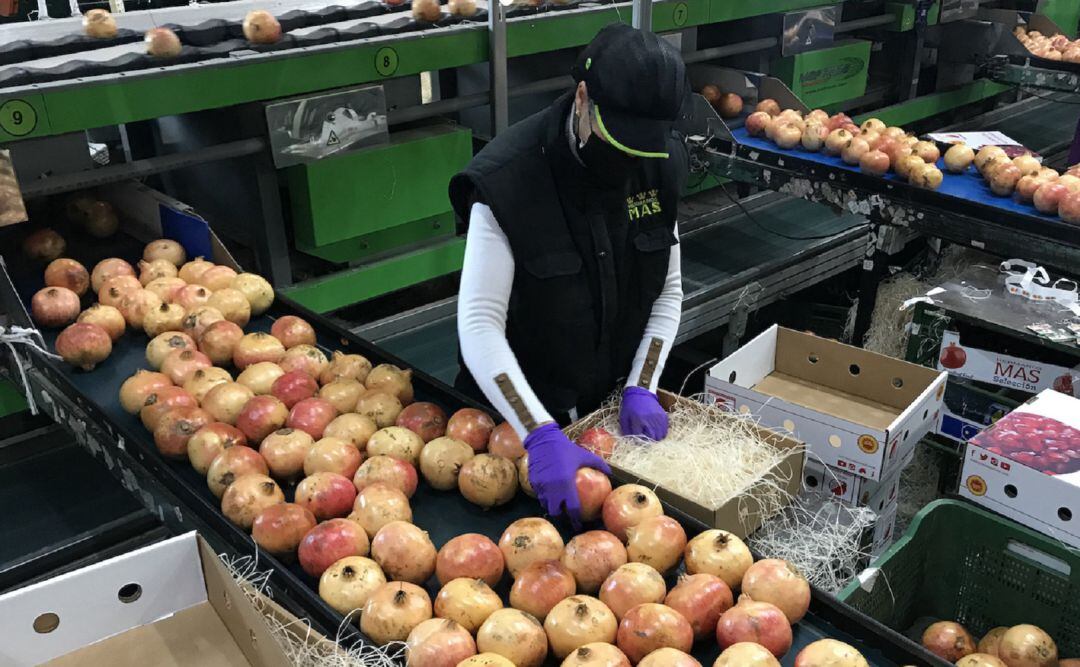 Agricultora trabajando en un almacén