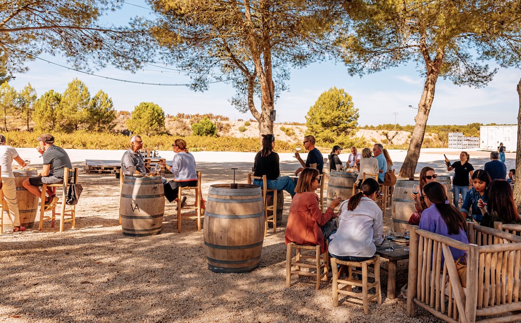 Participantes disfrutando de la Experiencia Vinya Alforí durante la edición de Nómade 2025, donde vino, paisaje y música se fusionaron en pleno corazón de les Terres dels Alforins.
