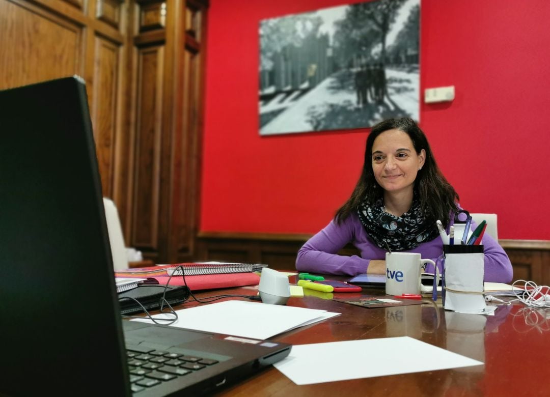 Hernández, en una imagen de archivo, durante una reunión por videoconferencia de la FEMM con el consejero de Economía y Empleo.