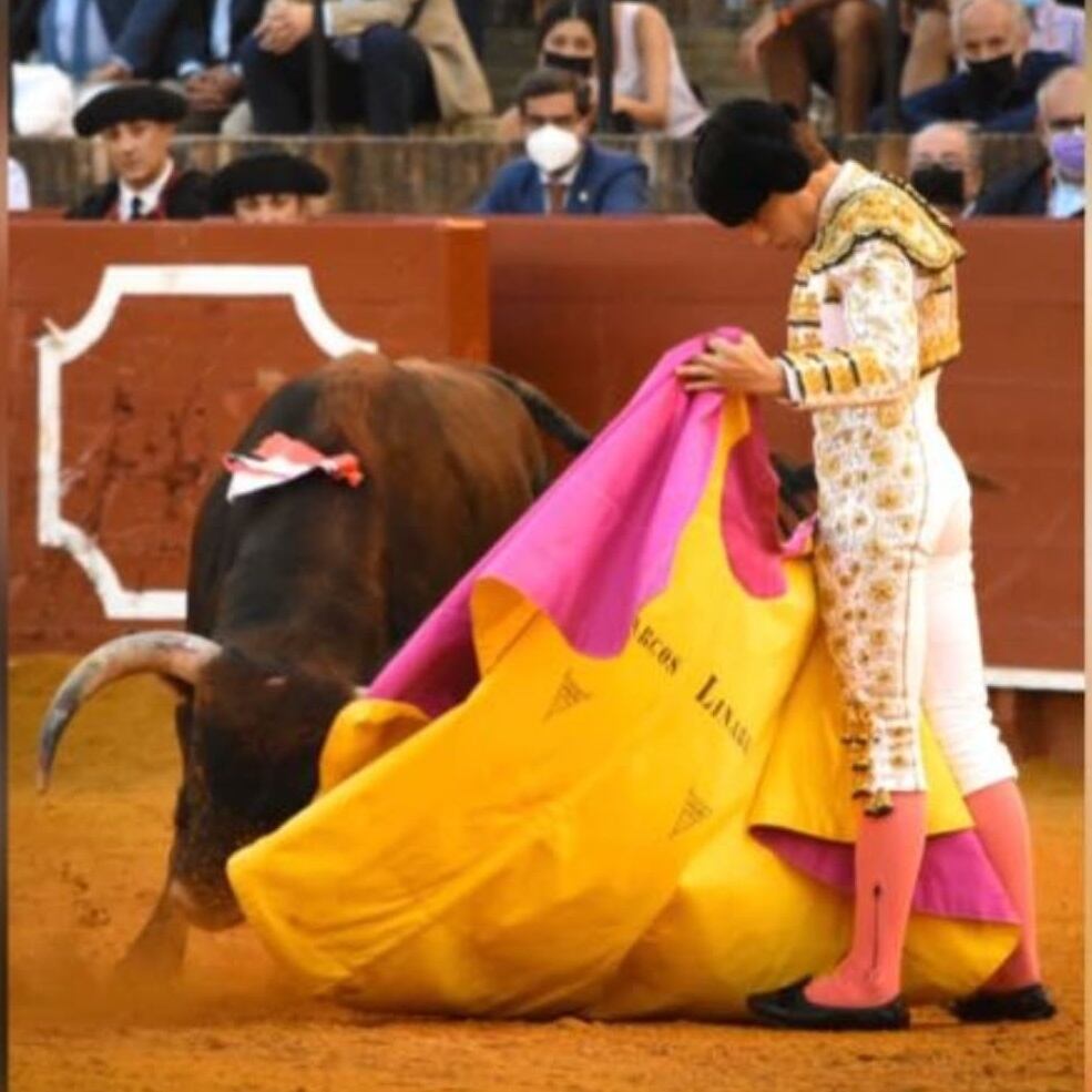 El novillero Marcos Linares durante su actuación del pasado 12 de octubre en la Real Maestranza