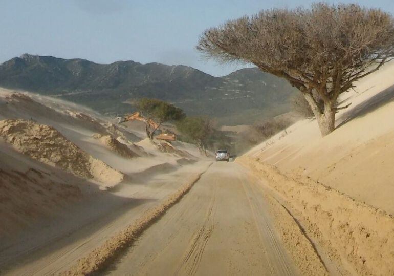 Duna de Valdevaqueros inundando acceso a Paloma Baja, en Tarifa