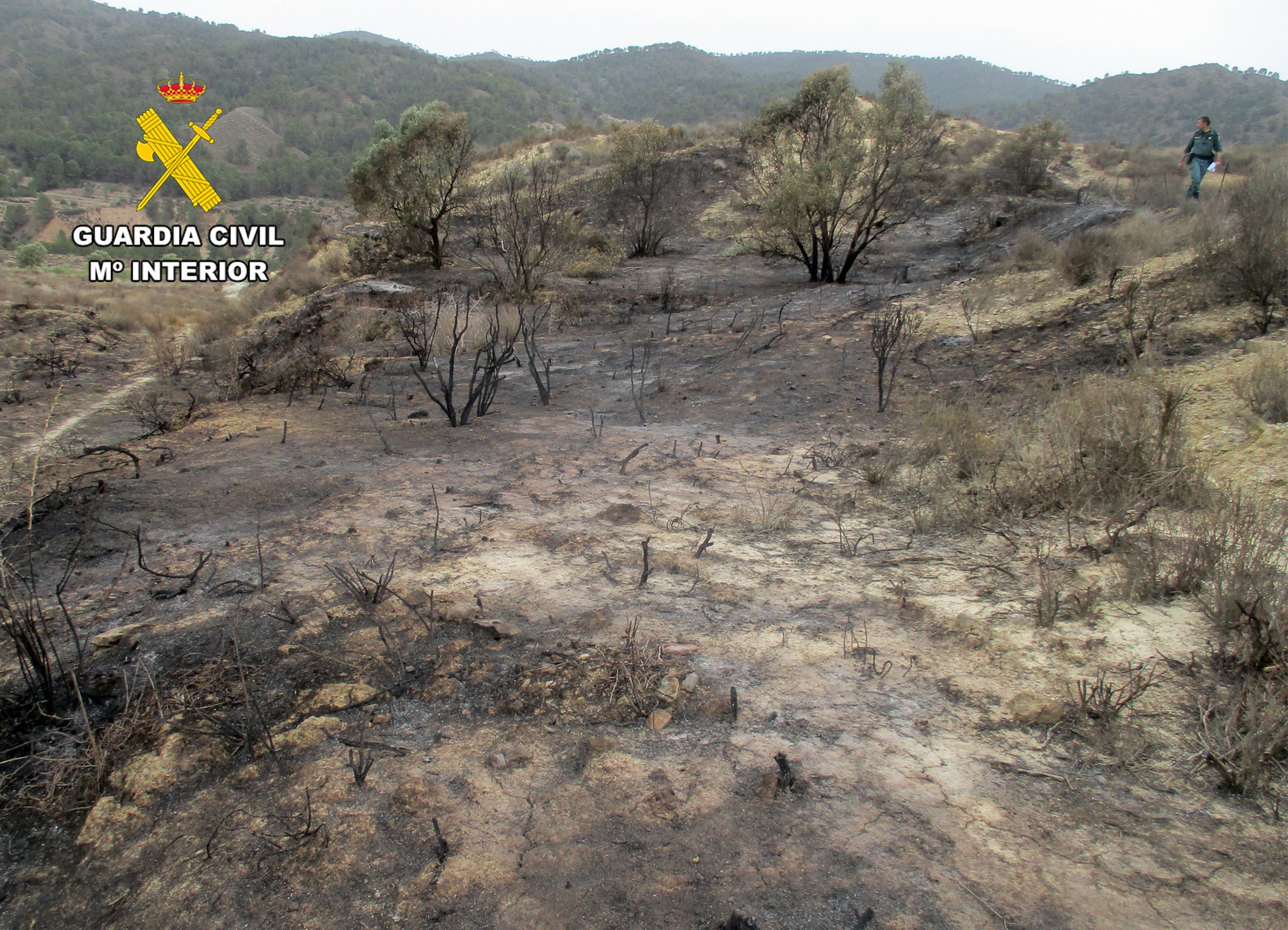 Incendio forestal en Lorca