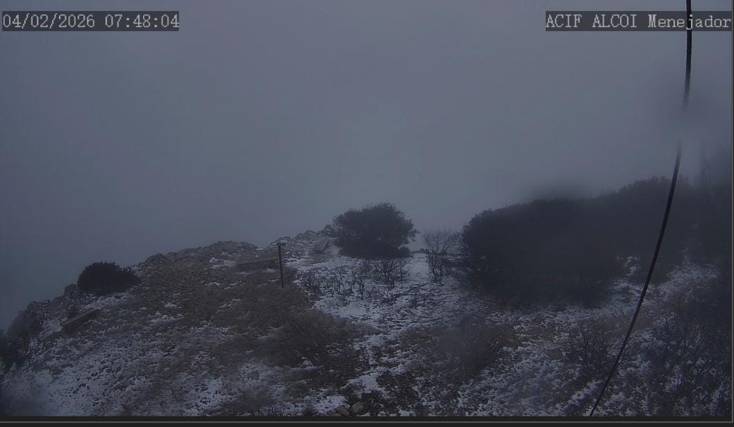 Imagen captada por la cámara de ACIF en el Menejador de la Font Roja