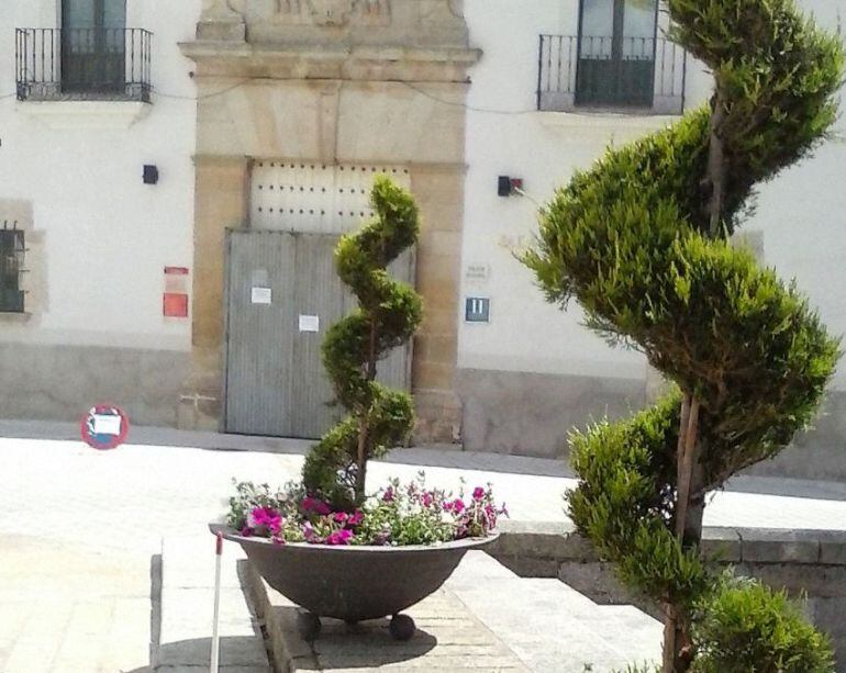 Dos de los setos que han desaparecido en el entorno de la Plaza de la Catedral de Coria