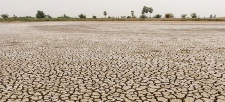 El incremento de las olas de calor y los períodos de sequía es una de las consecuencias del actual recalentamiento de la Tierra provocada por las elevadas emisiones de gases que provienen de la quema de combustibles fósiles como el carbón o el petróleo. 