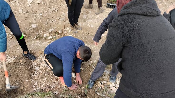 Continúan los trabajos voluntarios de reforestación para la ampliación del corredor verde de La Cuerda al Guadalquivir