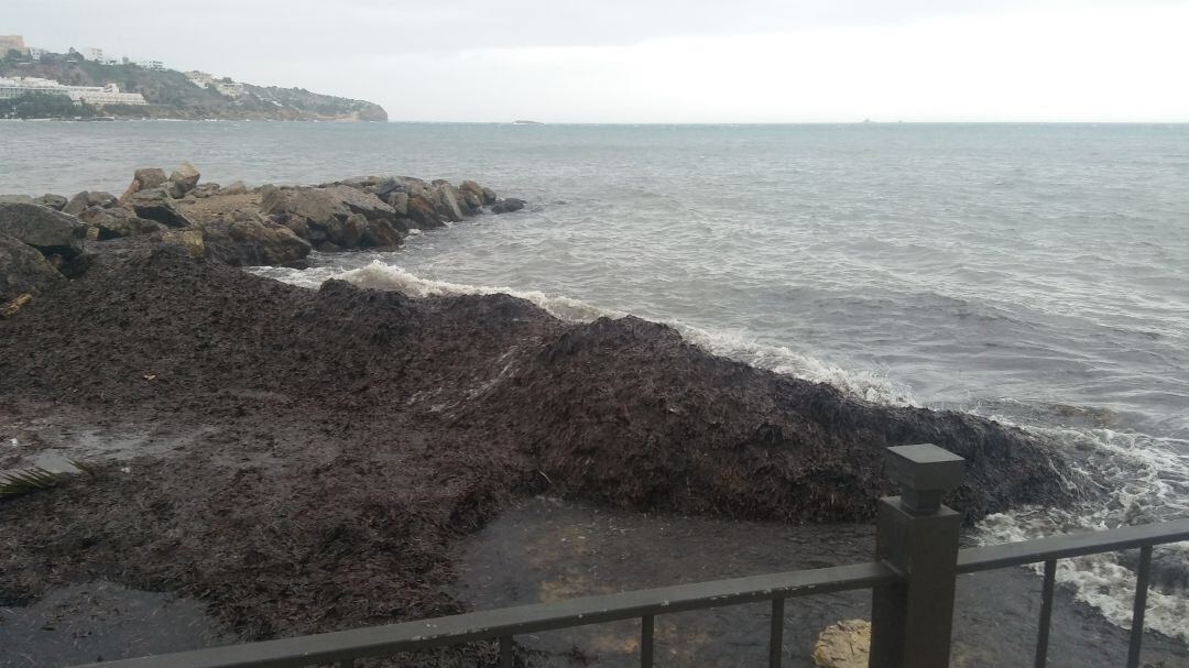 El temporal mantiene en alerta a las Pitiusas por viento y fenómenos costeros