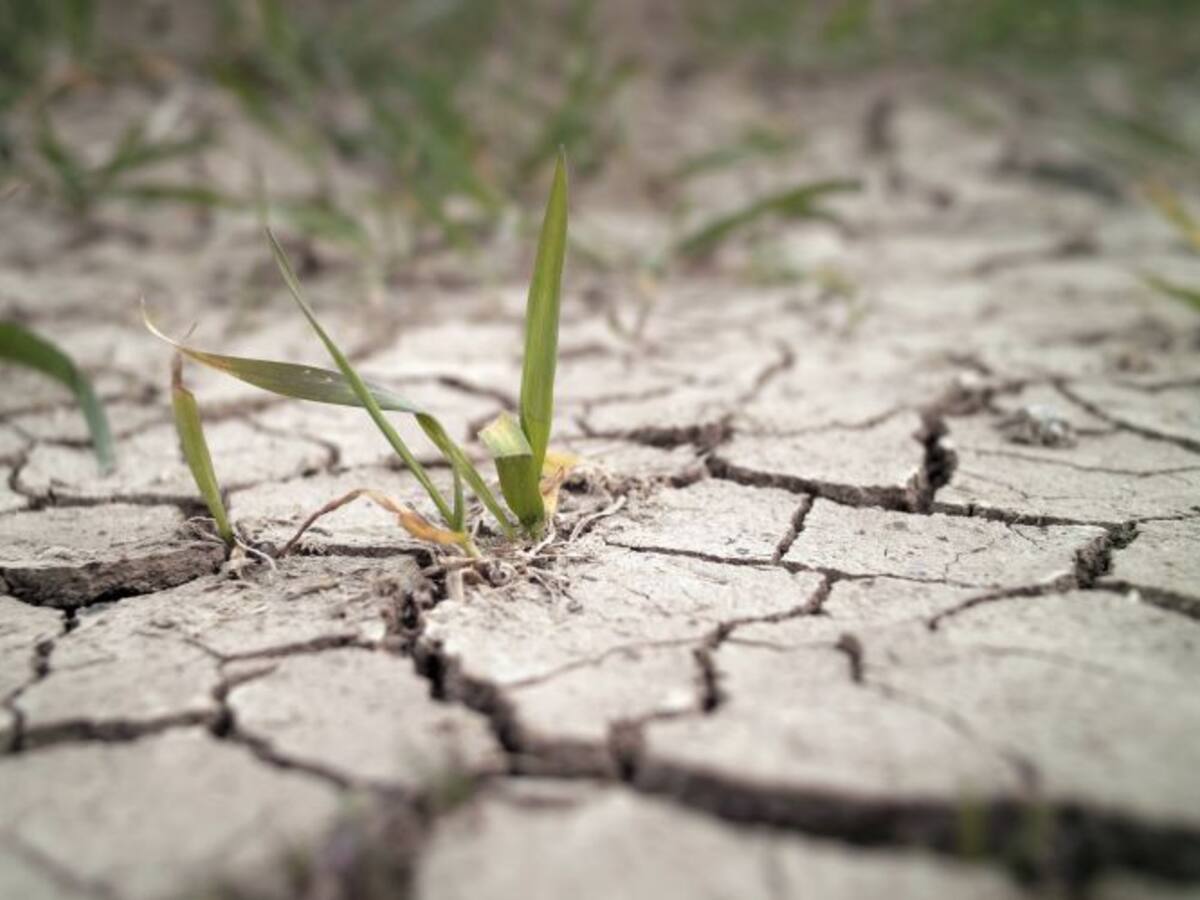 La escasez de agua afecta a embalses y pueblos de España