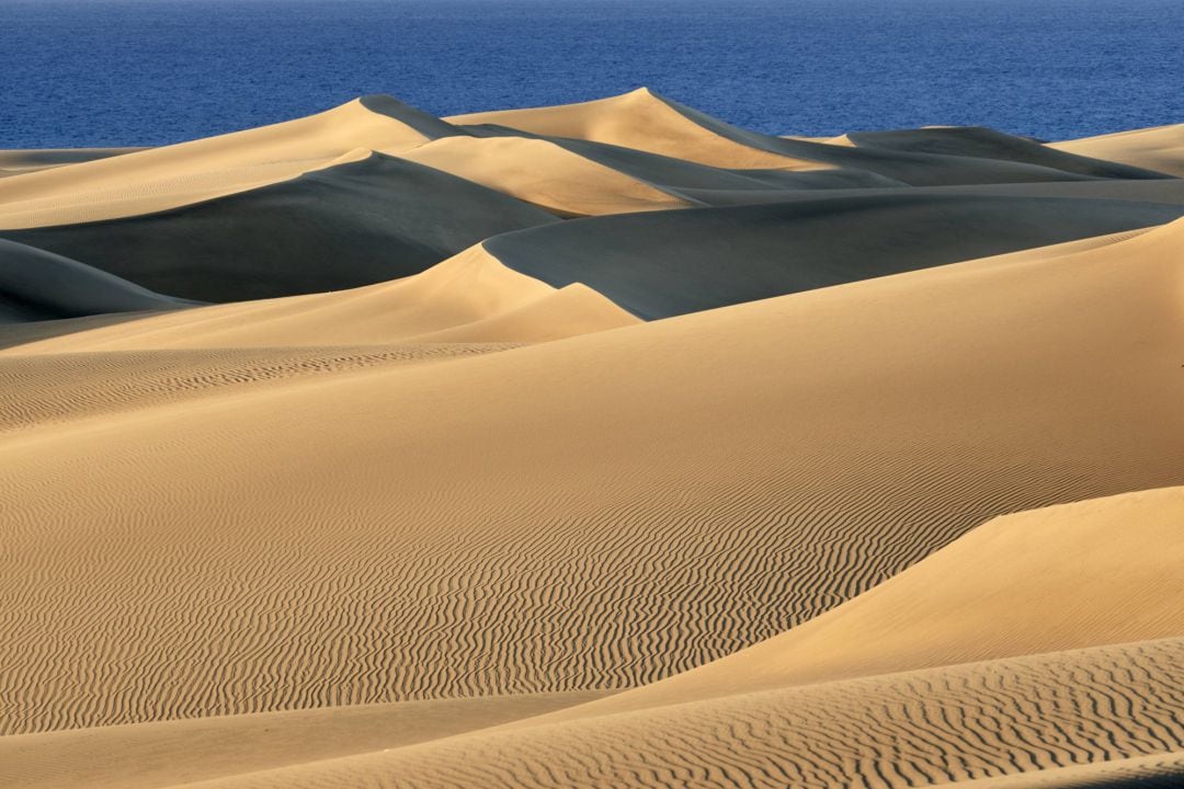 Vista de las Dunas de Maspalomas durante el confinamiento  