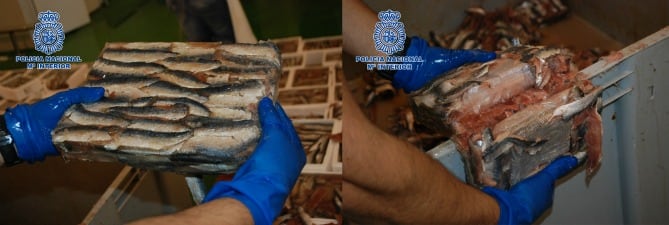 Hachís oculto entre sardinas congeladas interceptadas en Marbella (Málaga)