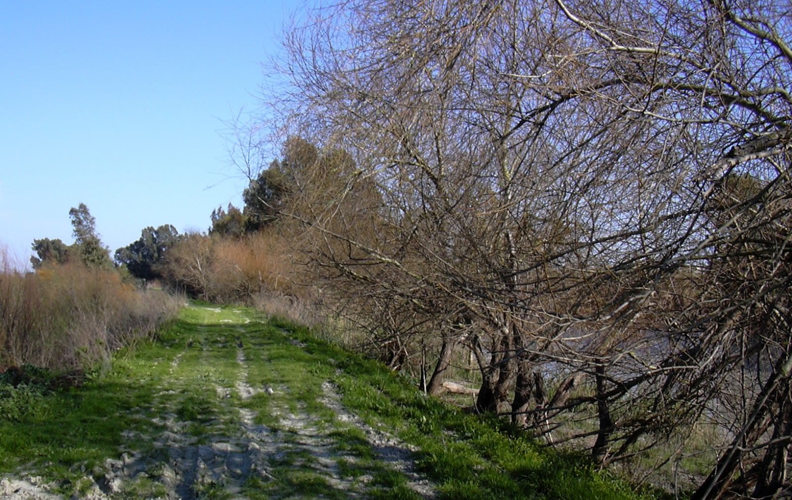 Cerro de la Bola, el Portal