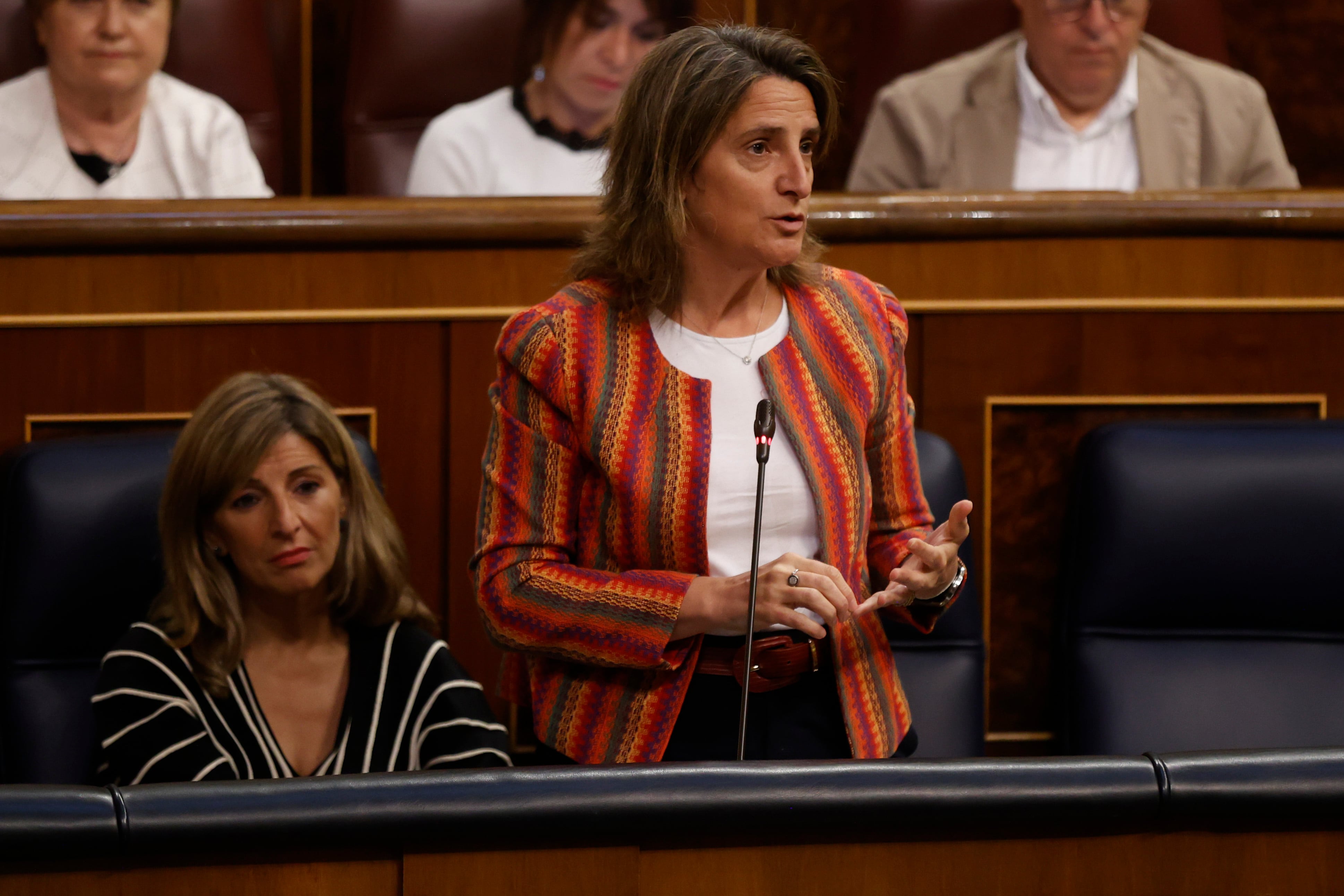 La vicepresidenta tercera y ministra de Transición Ecológica, Teresa Ribera.