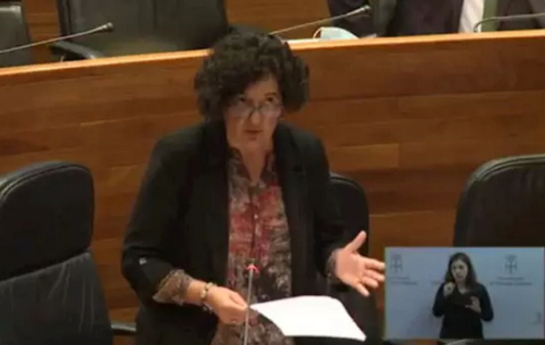 La Consejera de Cultura, Berta Piñán, en una intervención en la Junta General del Principado