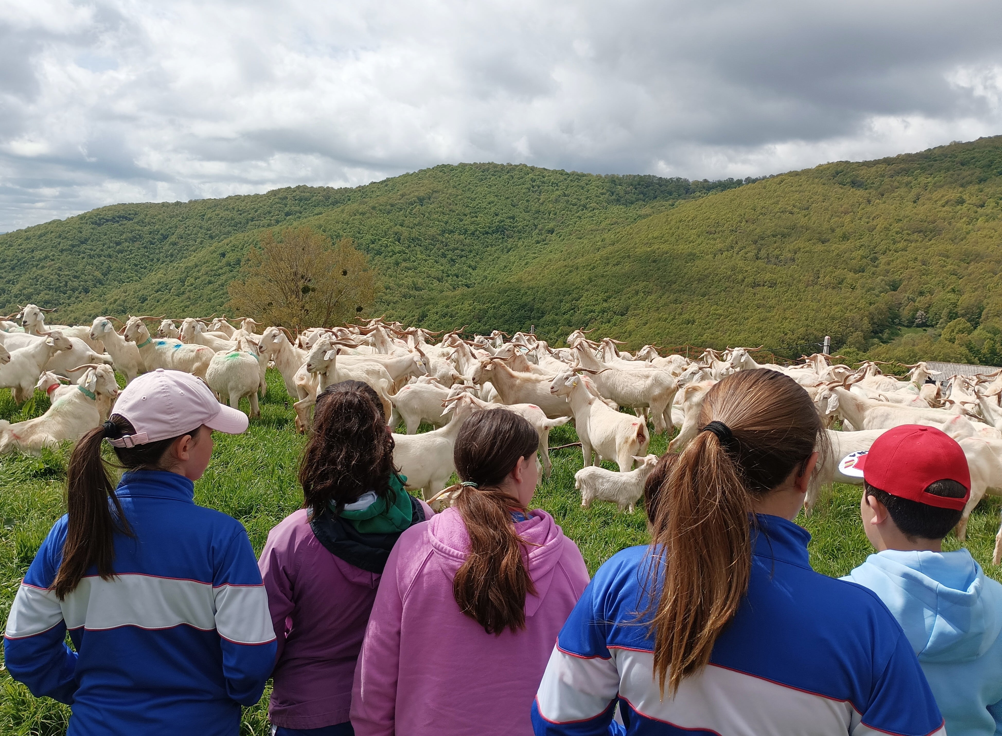 “Que me quiten lo pastao”, un taller para poner en valor los recursos de la Montaña Palentina