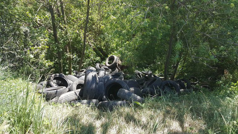 Hi ha centenars de pneumàtics abocats.