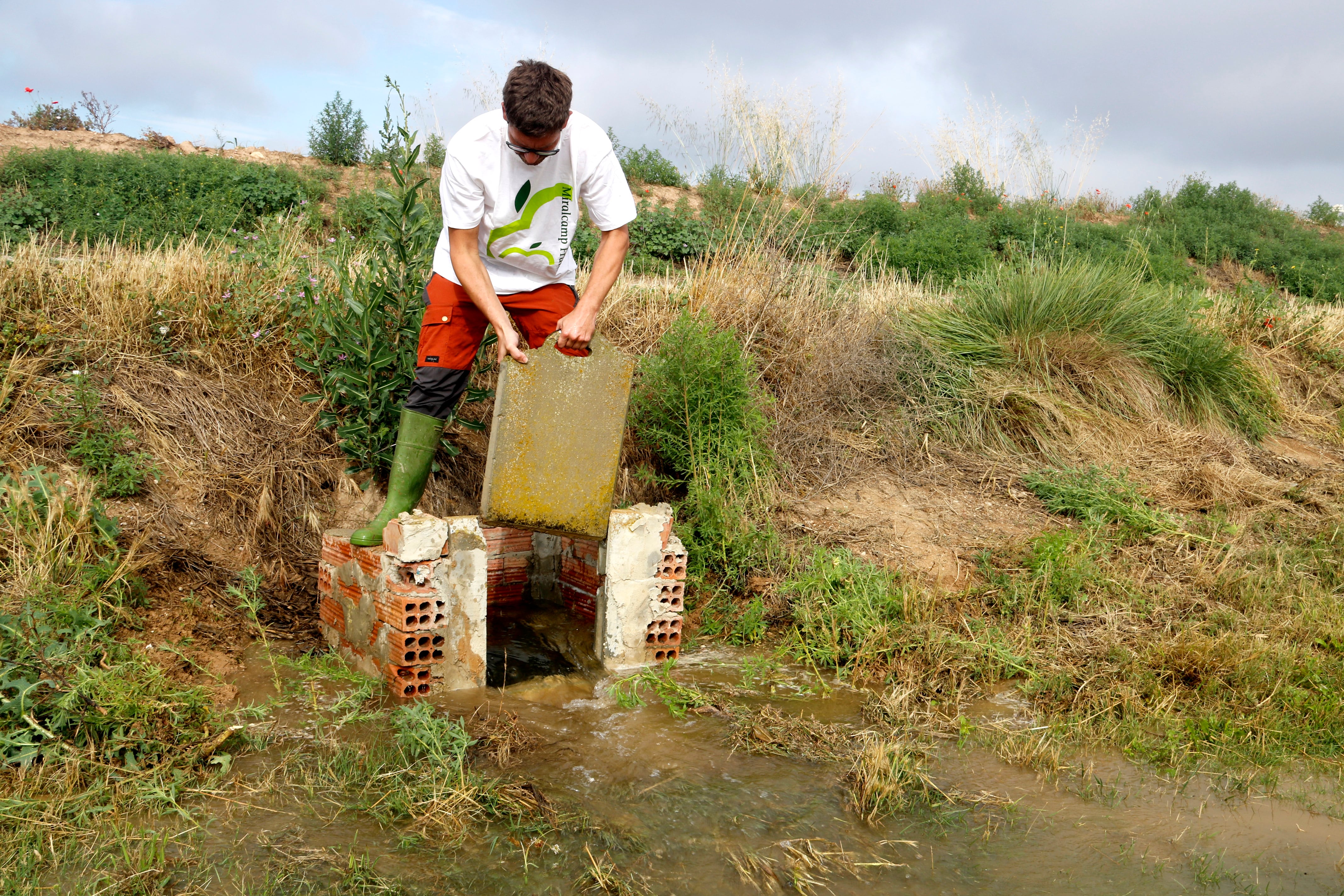 Un regant del canal d&#039;Urgell obrint la pala de reg en una finca de Puiggròs, a Les Garrigues. Foto: ACN.