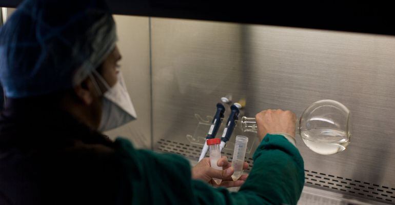 SRINAGAR, KASHMIR, INDIA - MARCH 23: A Kashmiri health care professional test the sputum of Tuberculosis patients in a laboratory at Kashmir's lone chest diseases hospital on March 23, 2015 in Srinagar, the summer capital of Indian administered Kashmir, India.The hospital was established by Christian missionaries over a century ago, primarily for treatment of tuberculosis and other chest diseases. Tuberculosis is among the world's most infectious killers that affects more than 12 million people globally with 2 million deaths annually. India has three million people infected with TB and has an estimated 99,000 drug-resistant TB cases every year. A tiny fraction of those infected in India receive the proper drugs, even with a government-funded program. The World Health Organization has included India on the list of high-burdened countries that contribute to 80 percent of the world's TB problem. World TB Day is marked on March 24, 2015. (Photo by Yawar Nazir/Getty Images)