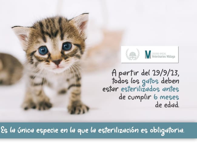 Colegio Veterinarios