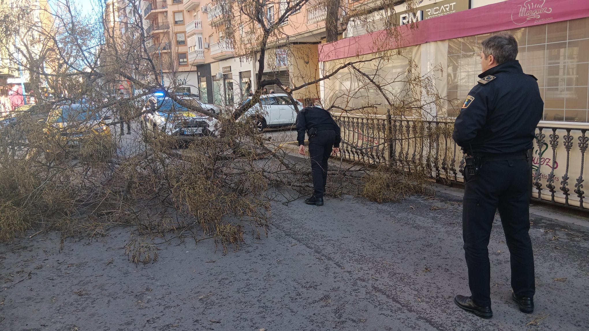 Daños por el viento en Xàtiva