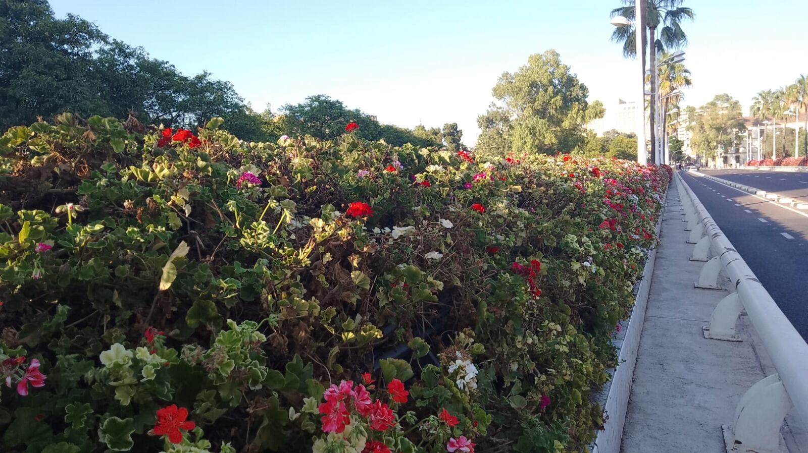 Aspecto de uno de los laterales del Puente de las Flores de València