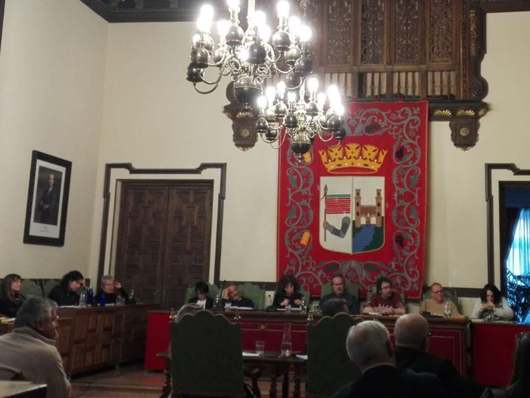 Pleno ordinario de febrero de 2019