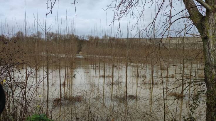Hoy por Hoy La Rioja Baja (26/01/2022)