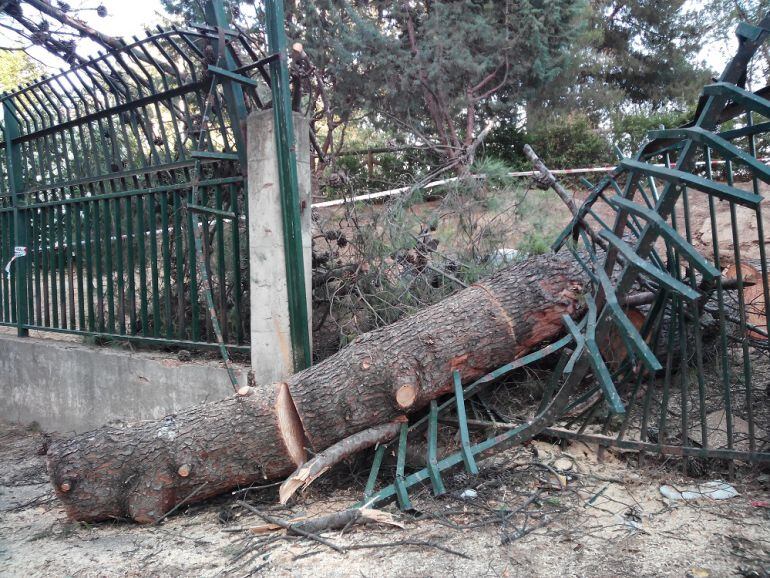 Imagen desde el interior del patio del colegio Iplacea