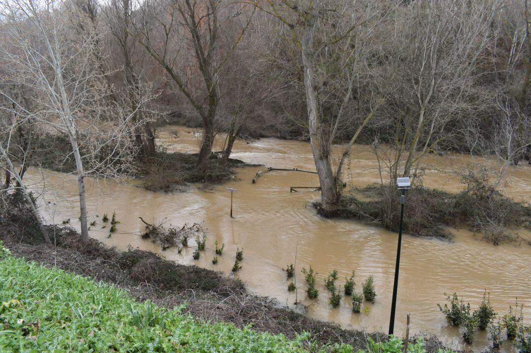 Senda fluvial del Henares inundada