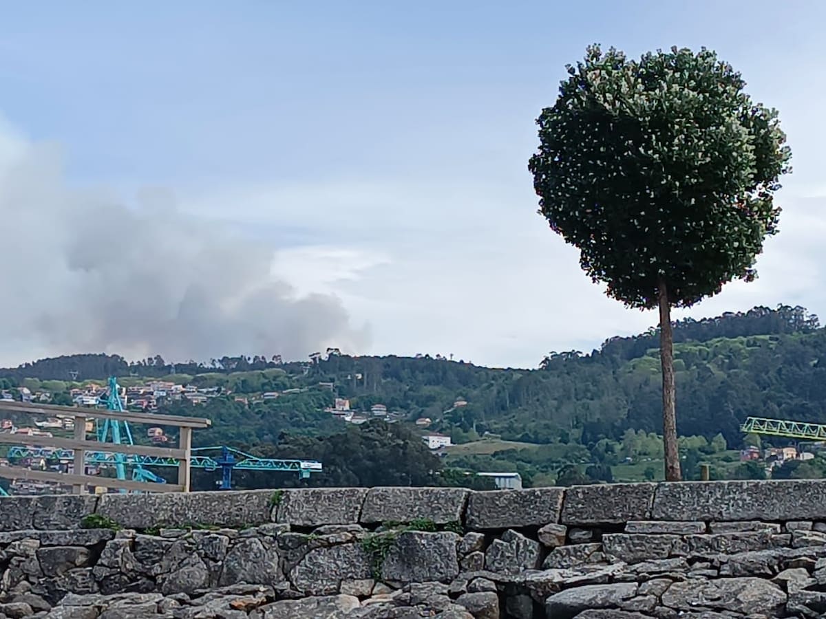Varios incendios forestales encienden las alarmas en el área de Vigo