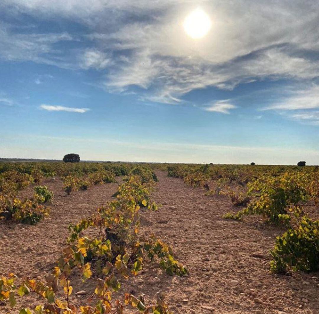 Tradicional pero con la vista puesta en el futuro: así es la bodega triplemente premiada en los Gran Selección 