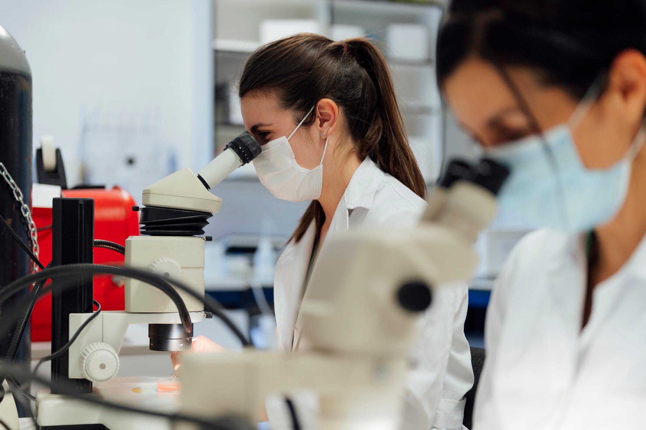 Día de la mujer y la niña en la ciencia