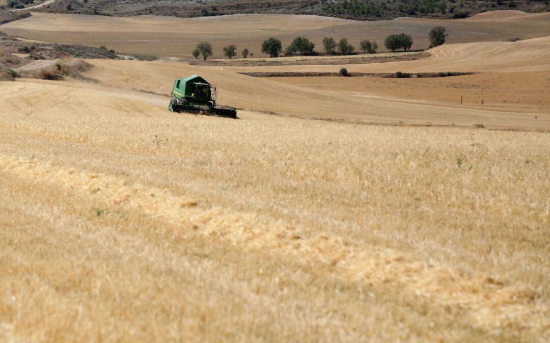 Los incendios forestales preocupan