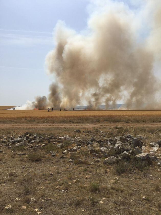 El foco del incendio localizado en una zona de cultivo de cereal